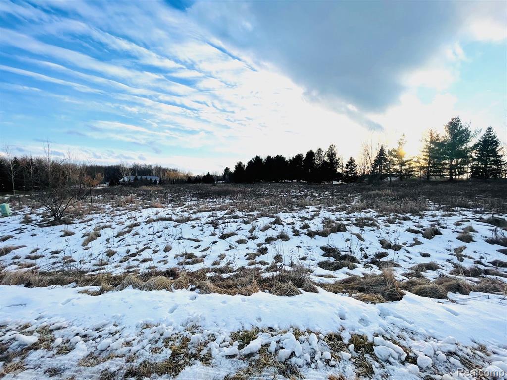 Lot 6 Sleeping Meadow, Mason, MI 48854 — Photo 3