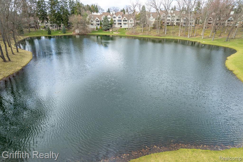 4553 GOLF VIEW Drive, Brighton, MI 48116 — Photo 8