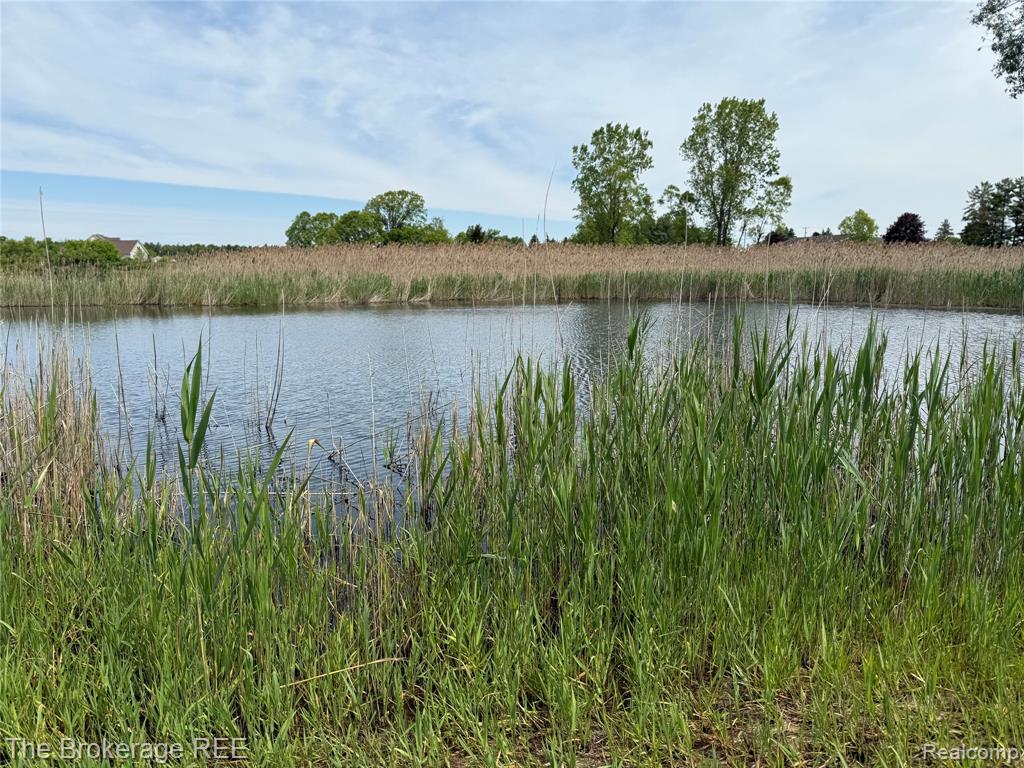 3020 Merwin Road, Lapeer, MI, 48446