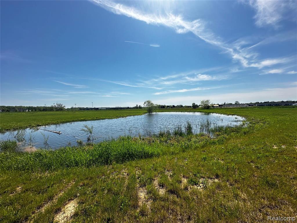 331 MCDOWELL DR, Howell, MI 48843 — Photo 12