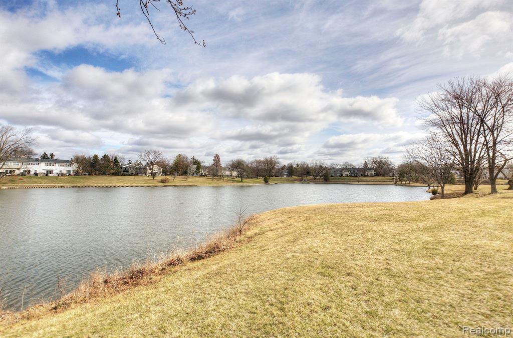 19341 ANDOVER CT, Northville, MI 48167 — Photo 45