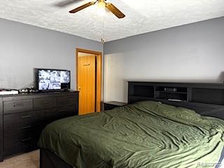 283 E Millington Road, Mayville Vlg, MI 48744 — Photo 11