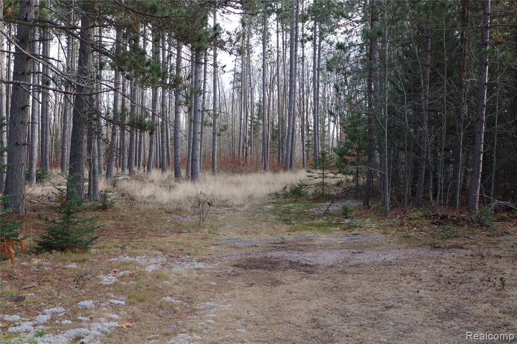 #A W Pendills Lake Road, Brimley, MI 49715 — Photo 45