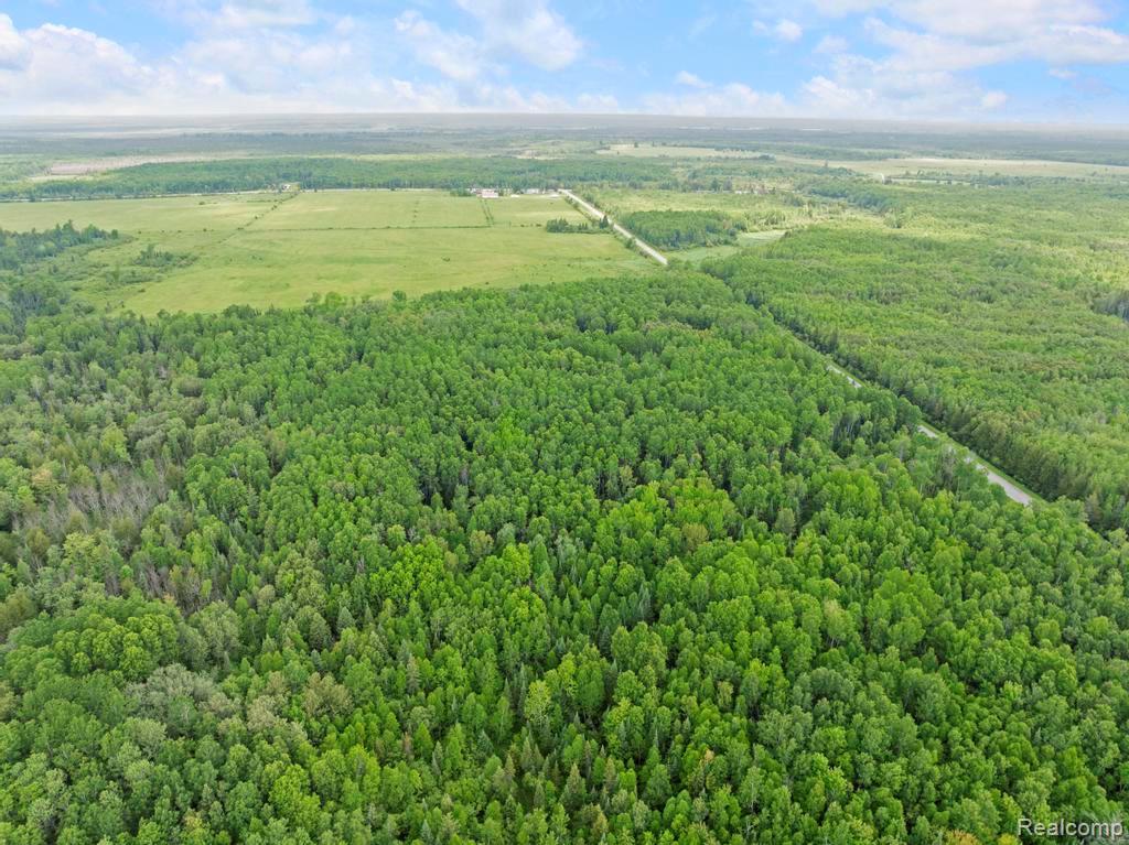 18031 State Highway M28, Newberry, MI 49868 — Photo 48