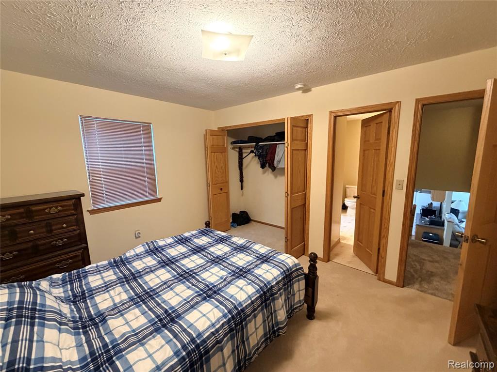 5376 Owosso Road, Fowlerville, MI 48836 — Photo 9