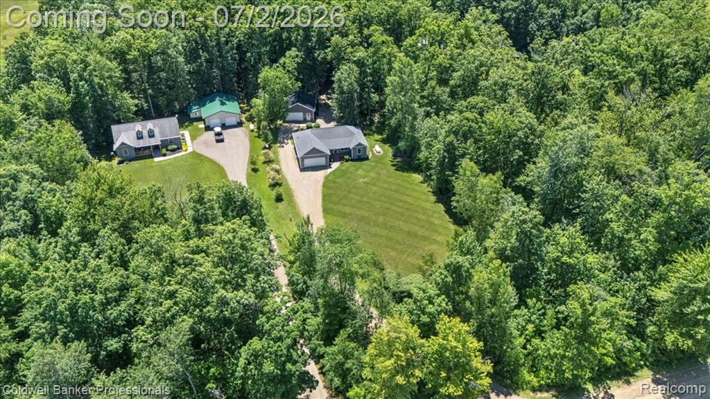 8224 Petz Road, Imlay City, MI 48444 — Photo 5