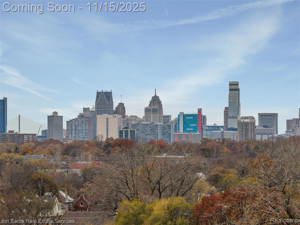 2462 Townsend Street, Detroit, MI 48214 — Photo 48