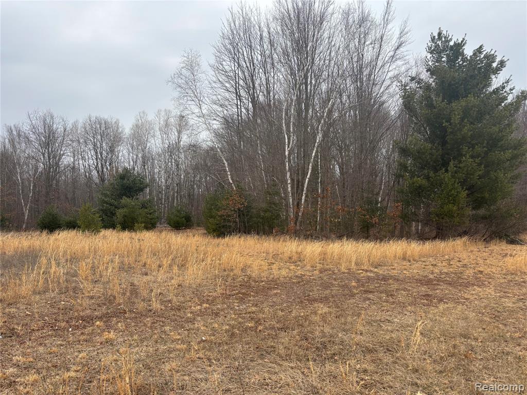 1904 Hay Road, Beaverton, MI 48612 — Photo 20