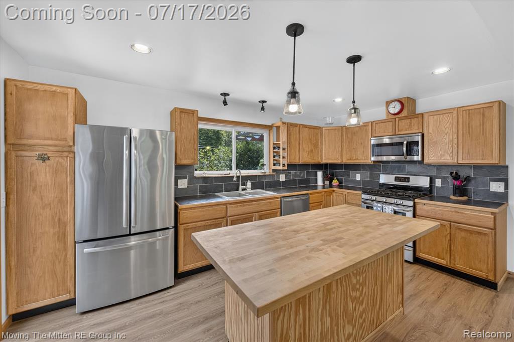 744 S Park Street, Highland, MI 48356 — Photo 11