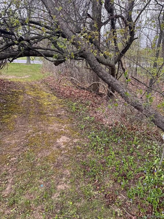 687 W Saginaw Road, Mayville Vlg, MI 48744 — Photo 11