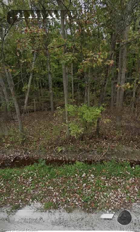 24661 28 Mile Road, Ray, MI 48096
