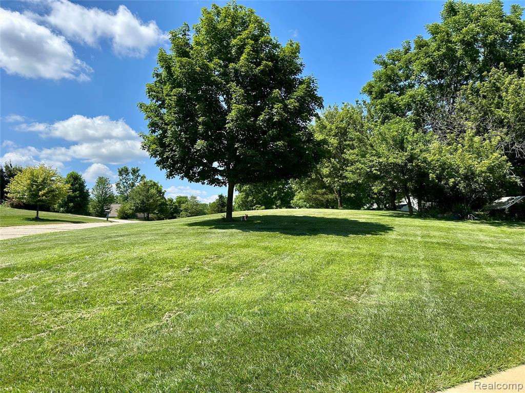 6435 Thompson Pond Drive, Whitmore Lake, MI 48189 — Photo 39