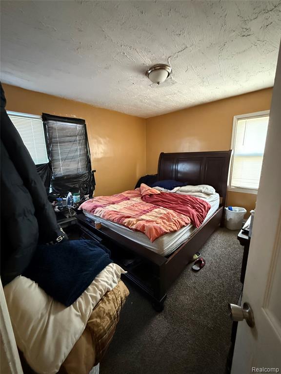 16180 Snowden Street, Detroit, MI 48235 — Photo 9