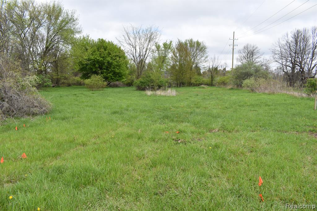 VL Grand River Avenue, Fowlerville, MI 48836 — Photo 2