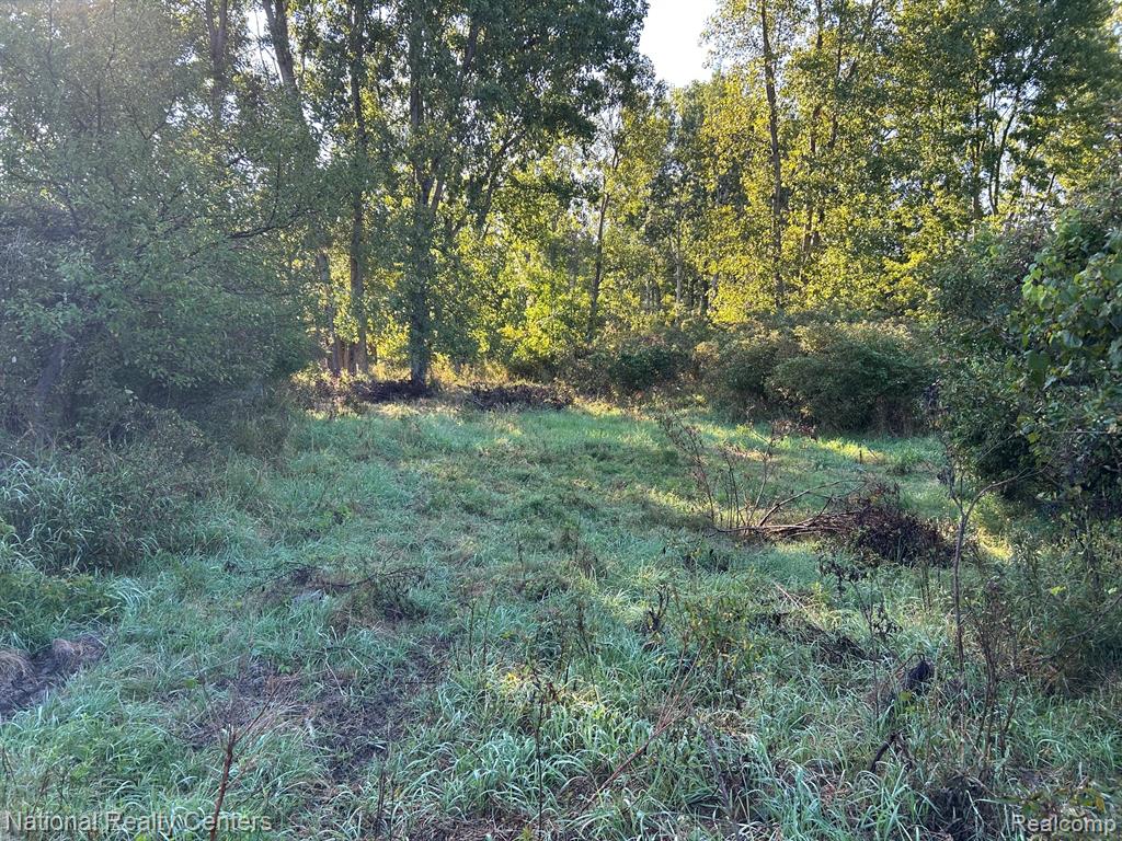 0000 Austin Farms Parcel C, Ortonville, MI 48462