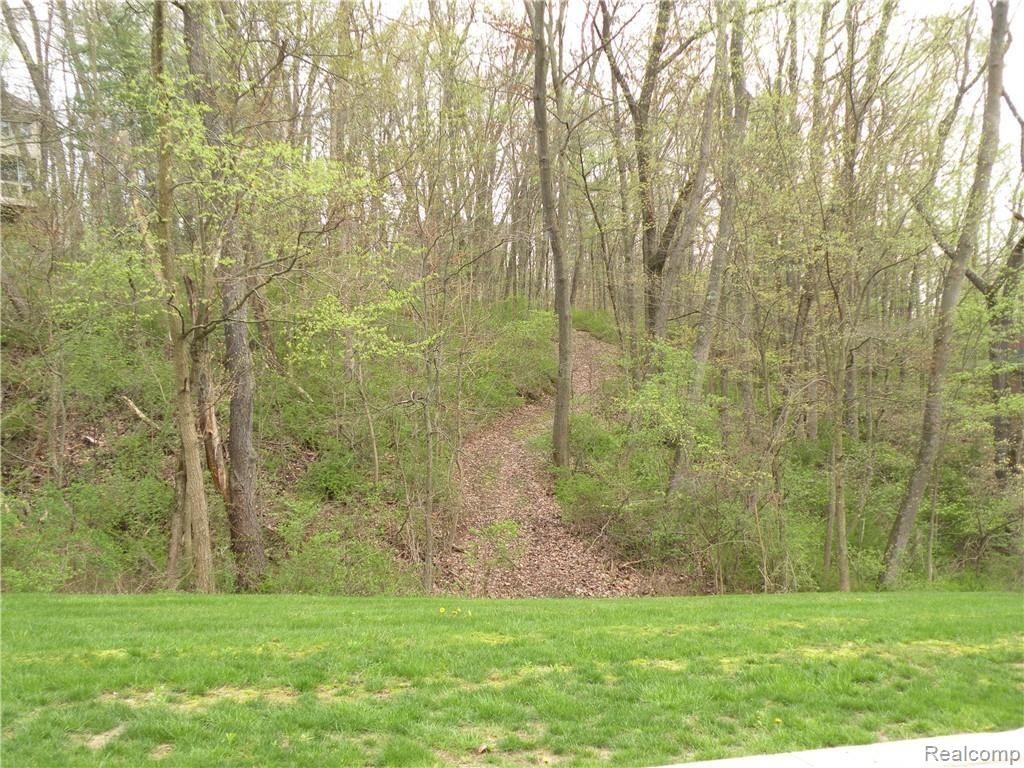 Lot #33 Alta Vista Alta Vista Drive, Pinckney, MI 48169 — Photo 8