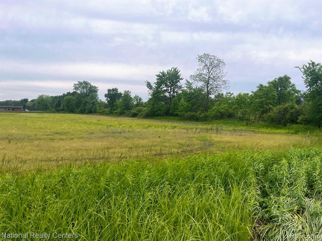 PARCEL C BURT Road, Allenton, MI 48002 — Photo 2
