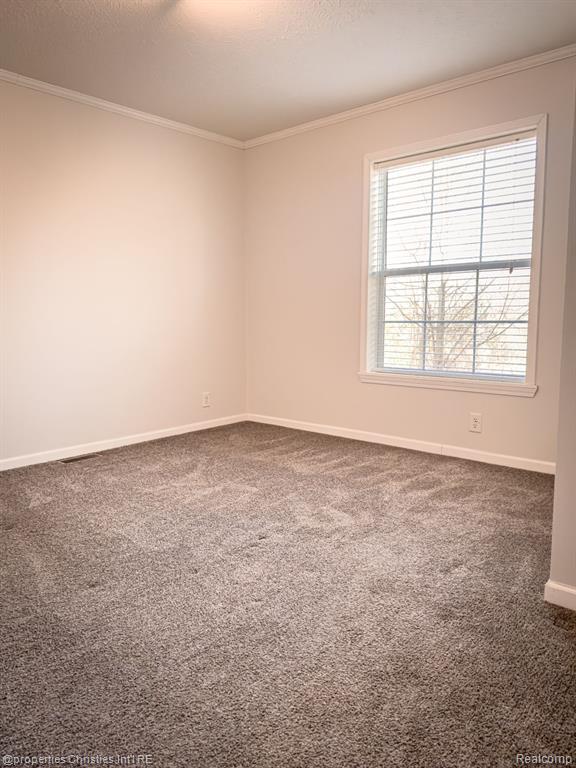 11201 SPRING ARBOR, South Lyon, MI 48178 — Photo 5