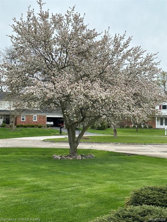 26028 Blossom Lane, Grosse Ile, MI 48138 — Photo 79