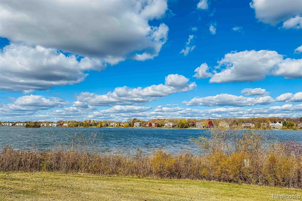 49970 BLACKBERRY Trail, Novi, MI — Photo 58