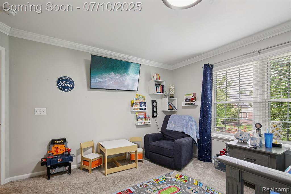 46533 Woodside Drive, Canton, MI 48187 — Photo 23