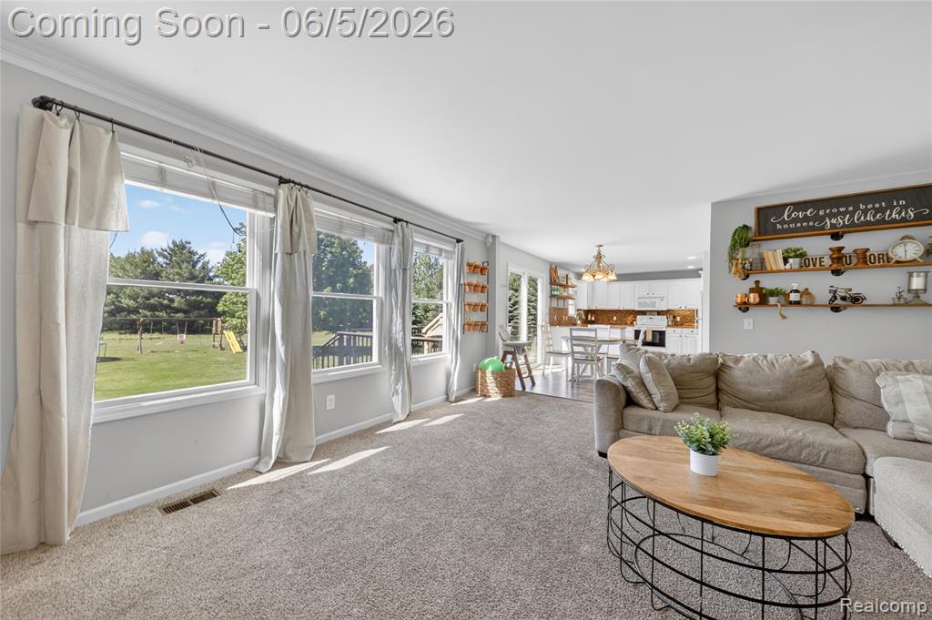 9191 Judd Road, Fowlerville, MI 48836 — Photo 20