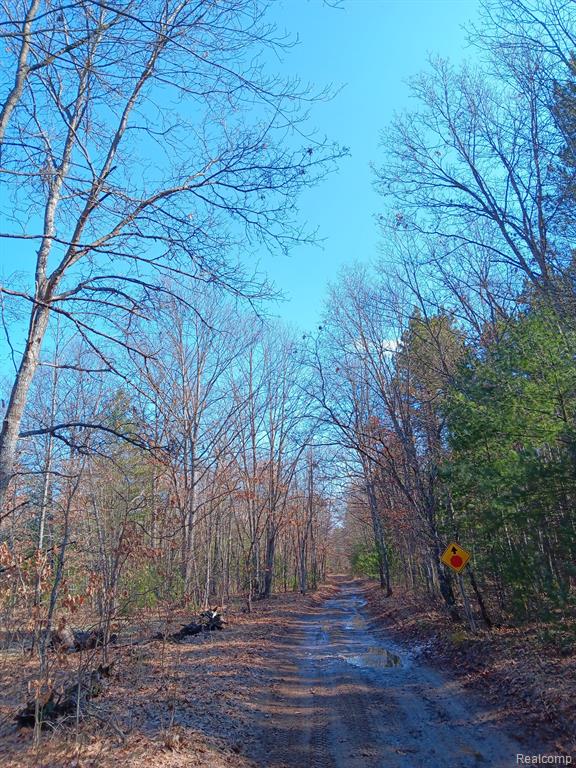 0000 Cedar Creek Road, Wellston, MI, 49689