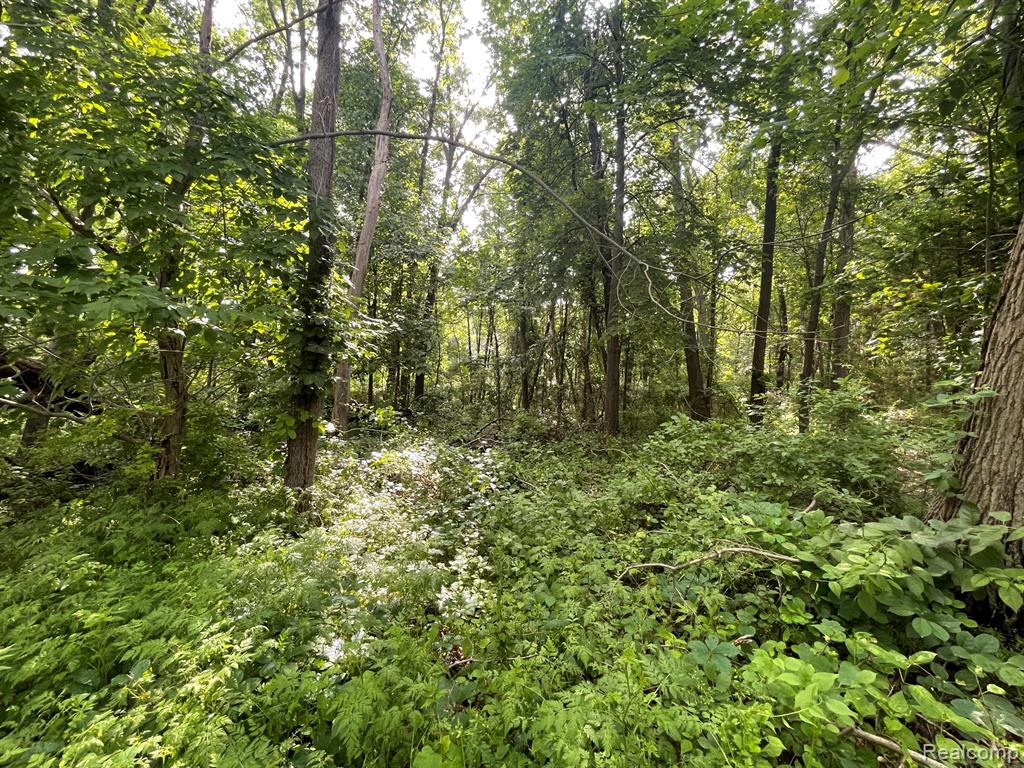 09 Tipsico Lake Road
