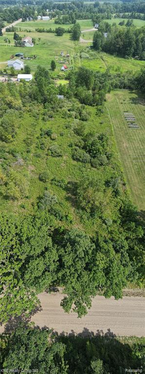 4932 Mack Road, Howell, MI 48855 — Photo 6