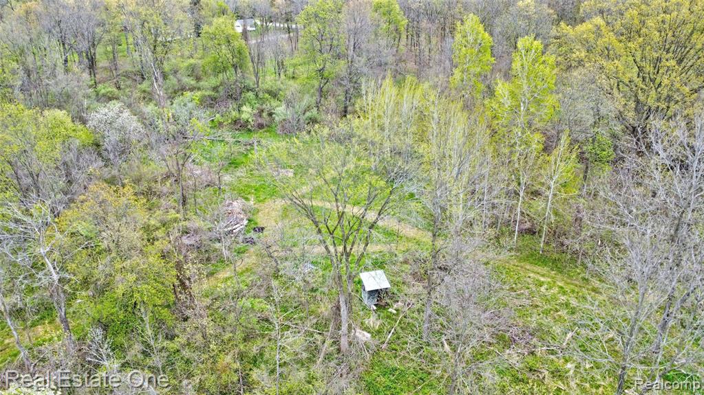 3960 Baldwin Road N, Ortonville, MI 48462 — Photo 46