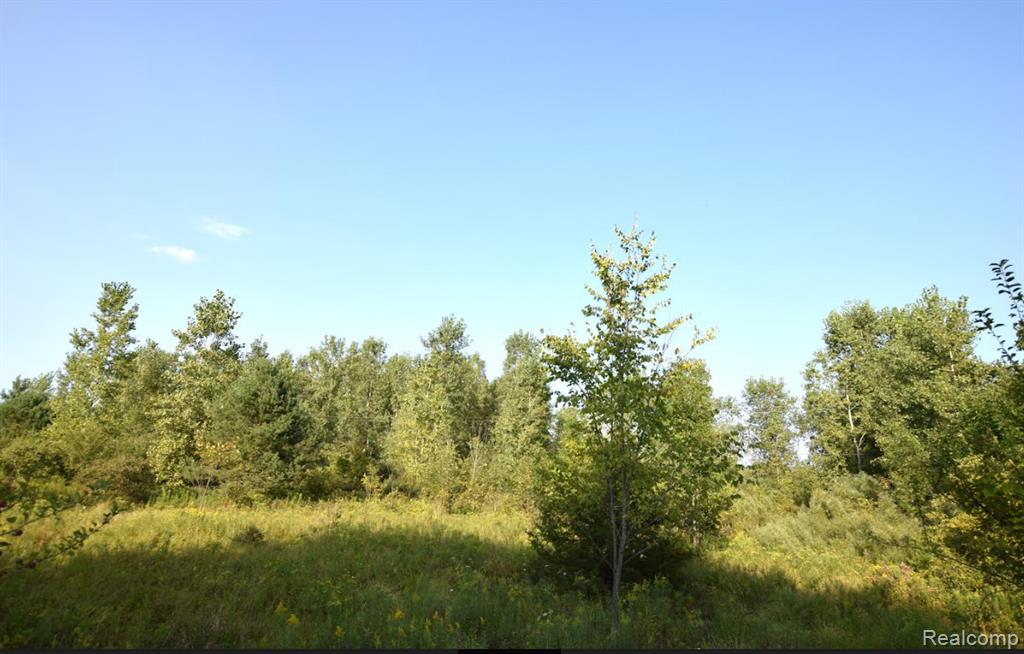 8504 DUFFIELD Road, Flushing, MI 48433 — Photo 3