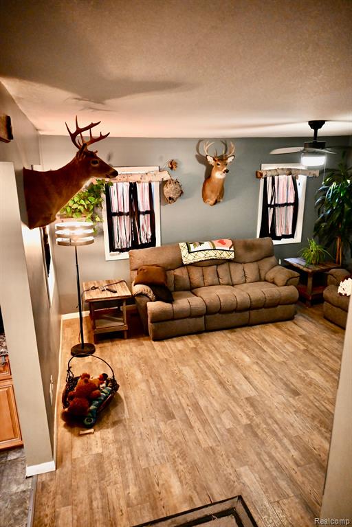 12101 TODD Road, Ida, MI 48140 — Photo 32