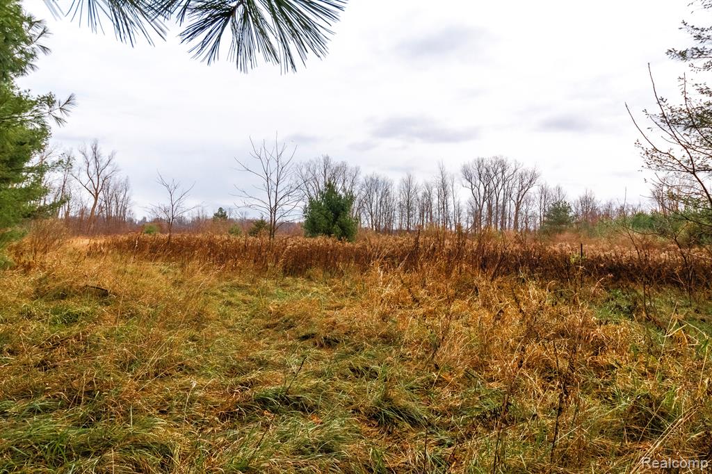 6152 OLD STATE Road, North Branch, MI 48461 — Photo 14