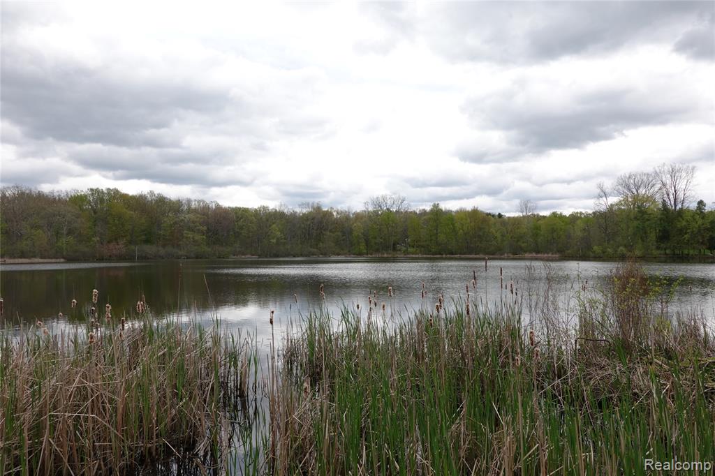 454 East Road, Holly, MI 48442 — Photo 11