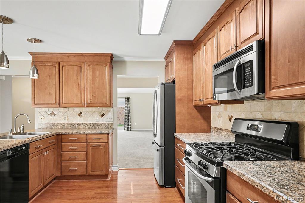 41071 E Rosewood Drive, Clinton Twp, MI 48038 — Photo 10