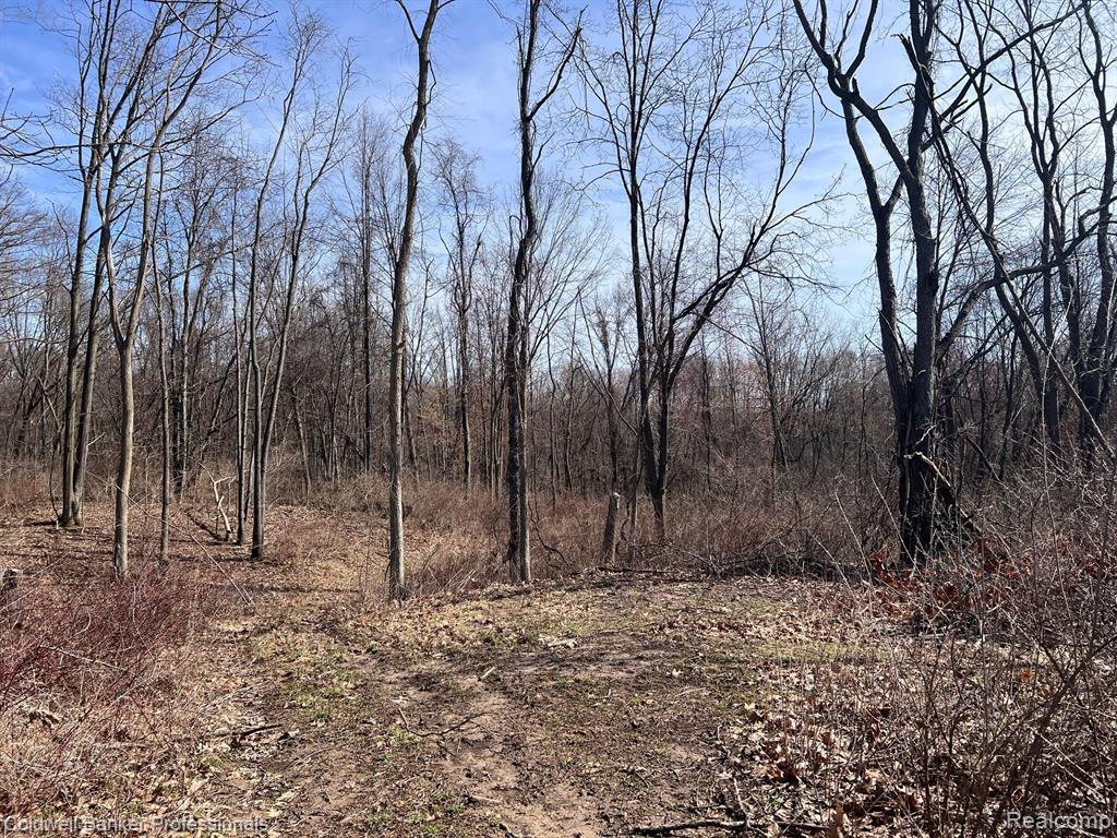 5359 Faussett Road, Howell, MI 48855 — Photo 57