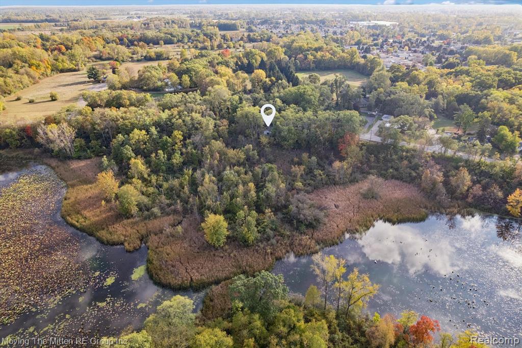 50710 W Huron River Drive, Belleville, MI 48111 — Photo 4