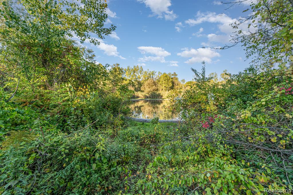 4354 Maybee Road, Lake Orion, MI — Photo 14