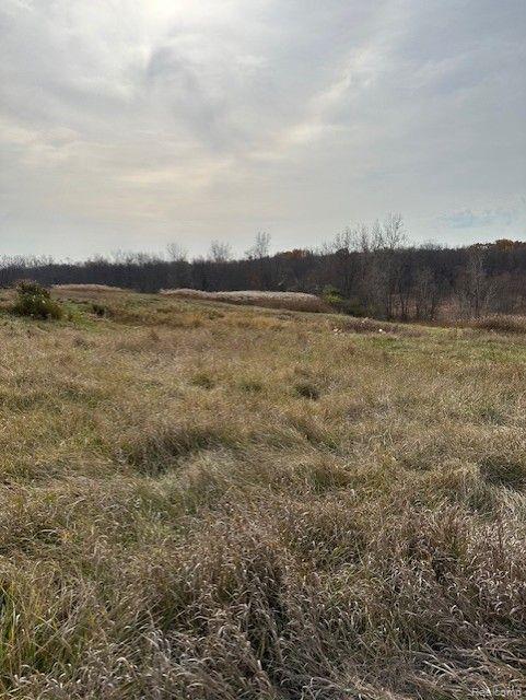 8438 JORDAN Road, Grand Blanc, MI 48439 — Photo 26