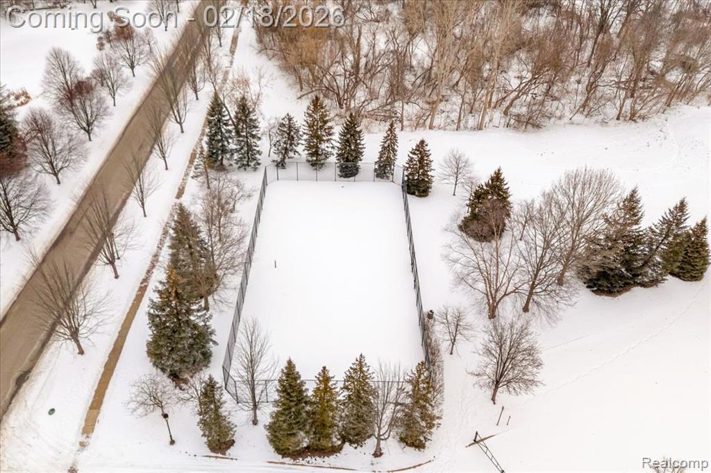 379 Springfield Drive, Canton, MI 48188 — Photo 48