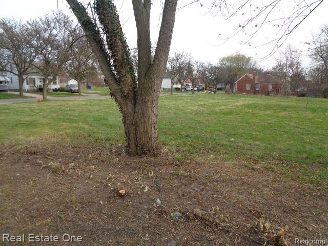 7375 BRACE Street, Detroit, MI 48228 — Photo 23