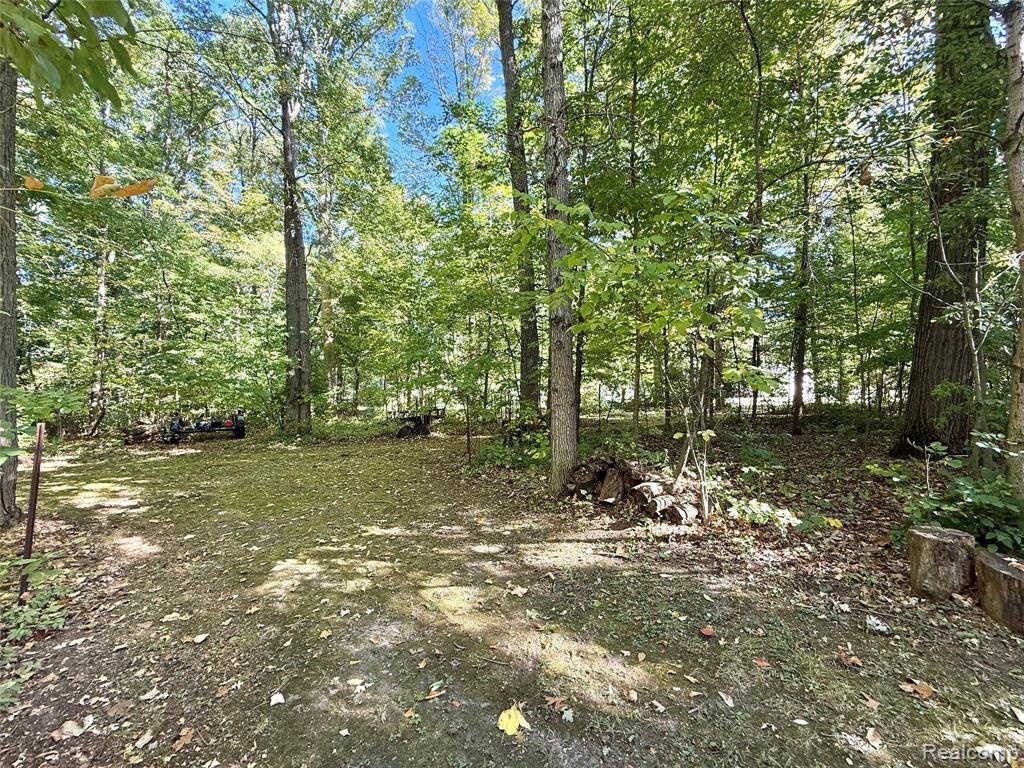 3610 State Road, Fort Gratiot, MI 48059 — Photo 10