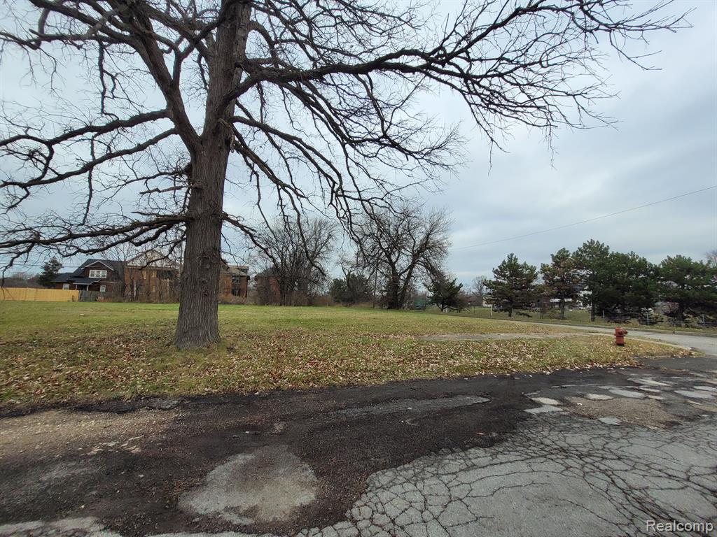 1546 COLLINGWOOD Street, Detroit, MI 48206 — Photo 3