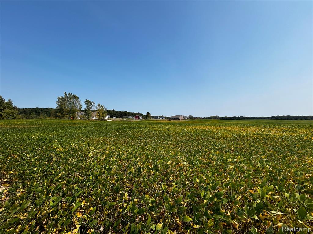 Parcel N N Hacker Road, Howell, MI 48843 — Photo 11