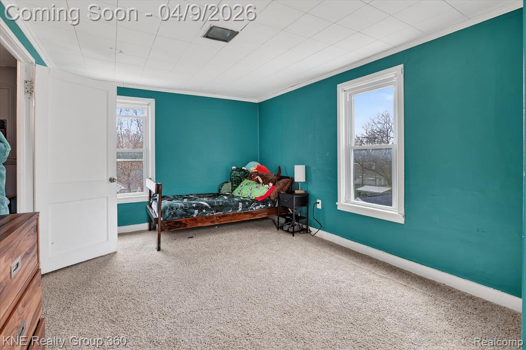 217 Maple Avenue, Alma, MI 48801 — Photo 22