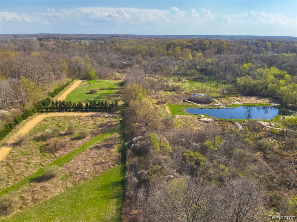 5785 Layton Road, Fowlerville, MI 48836 — Photo 53