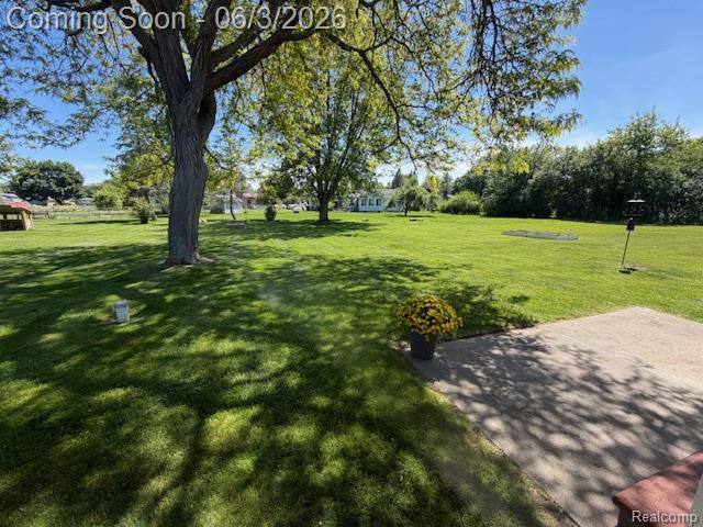 4323 Brayan Drive, Swartz Creek, MI 48473 — Photo 30