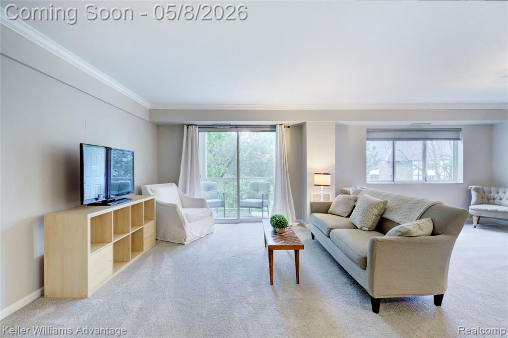 770 Deer Street, 302, Plymouth, MI 48170 — Photo 13