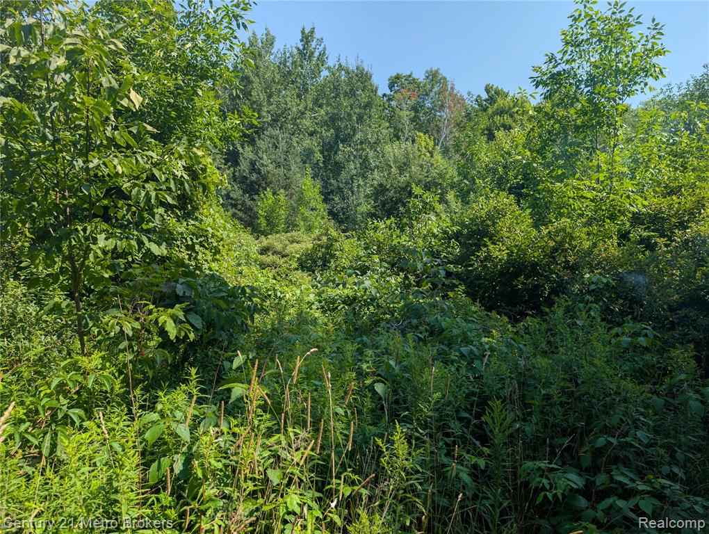 10190 Oak Road, Otisville, MI 48463 — Photo 24