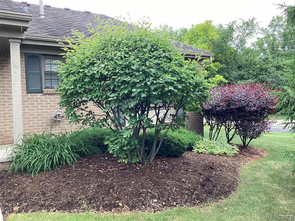 38547 Darbyshire, Farmington Hills, MI 48331 — Photo 4